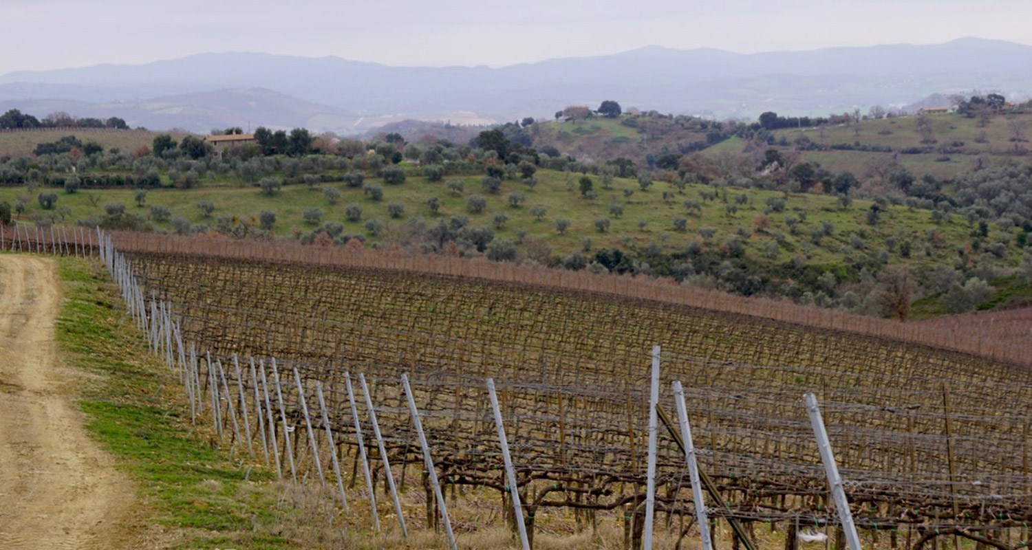  Weingut "Poggio Nibbiale