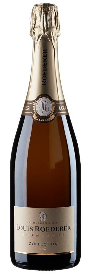 Collection 244 Brut 