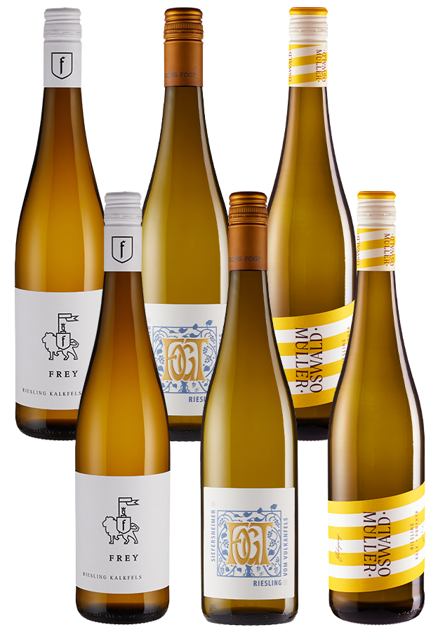 6er-Paket Riesling 