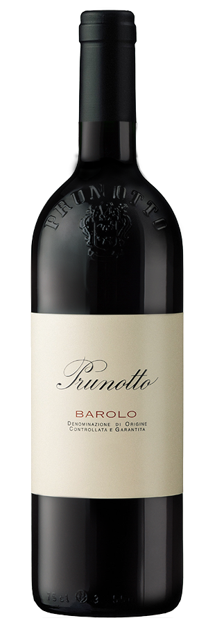 Barolo 2019