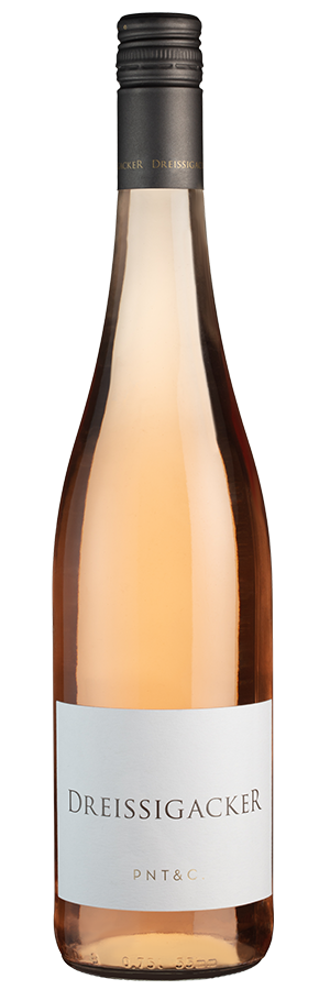 PNT & C. Rosé trocken (Bio) 2023