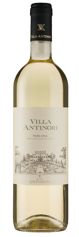 Villa Antinori Bianco 2023