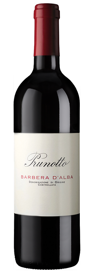 Barbera d'Alba 2022