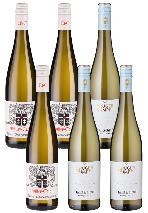 6er-Paket VDP-Riesling 